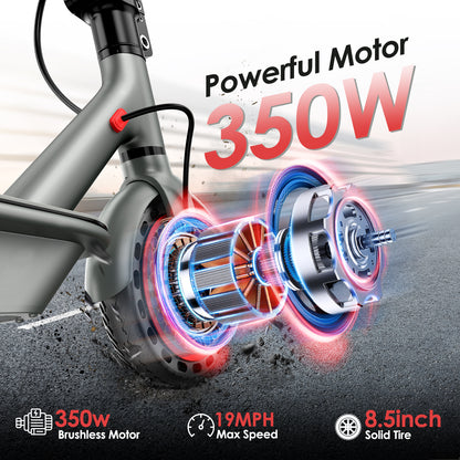 Trottinette D8 PRO avec moteur de 350W et pneus de 8,5 pouces