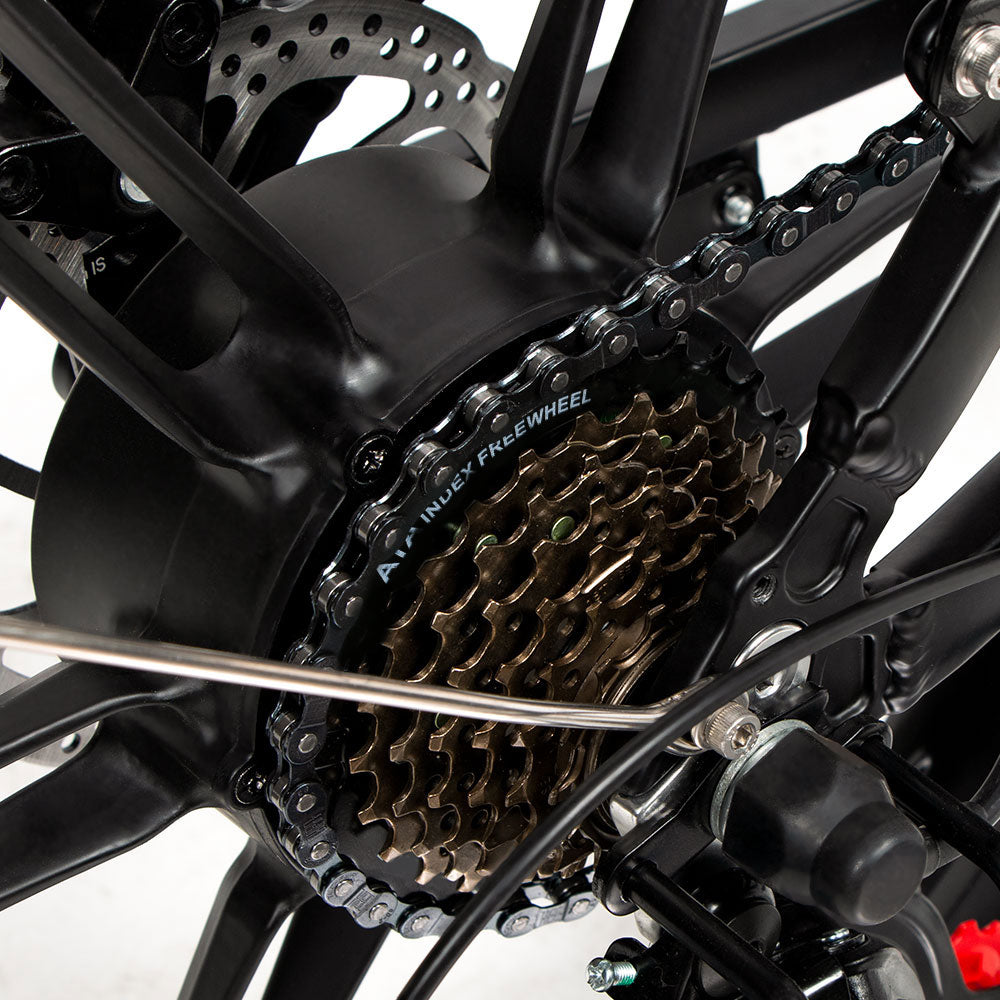 SAMEBIKE 20LVXD30-ll