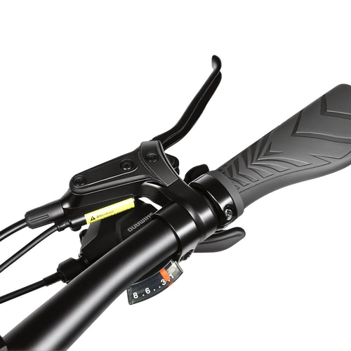 SAMEBIKE STORM – Fatbike électrique 26×4.0″, 250W, 48V 20Ah, autonomie jusqu’à 140 km