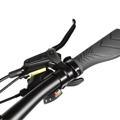 SAMEBIKE STORM – Fatbike électrique 26×4.0″, 250W, 48V 20Ah, autonomie jusqu’à 140 km