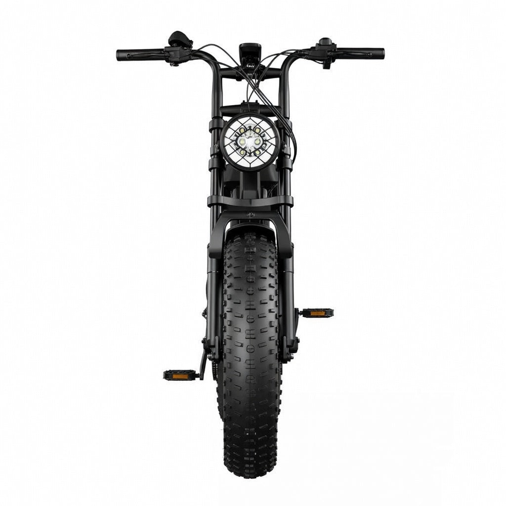 Vélo électrique R002 PLUS 750W 48V 25Ah fat bike 20 pouces, double suspension, freins hydrauliques, autonomie 120 km, vitesse 45 km/h débridée vue de face