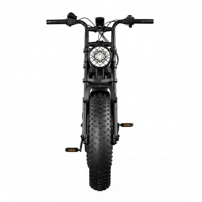 Vélo électrique R002 PLUS 750W 48V 25Ah fat bike 20 pouces, double suspension, freins hydrauliques, autonomie 120 km, vitesse 45 km/h débridée vue de face