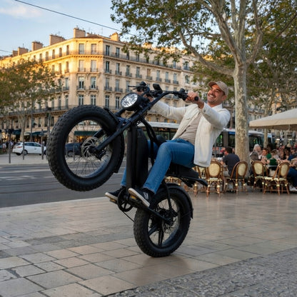 Vélo électrique R002 PLUS 750W 48V 25Ah fat bike 20 pouces, double suspension, freins hydrauliques, autonomie 120 km, vitesse 45 km/h débridée stabilité et tout-terrain